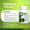 new products24 Pancha Tulasi
