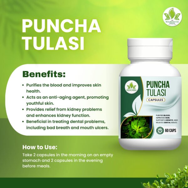 new products24 Pancha Tulasi