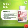 Cyst Nil