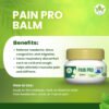 Pain Pro