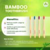 Bamboo Tooth Brush (Adult)